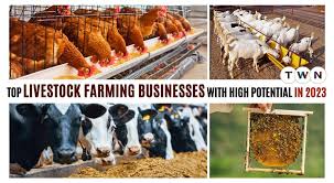 Livestock Entrepreneurship
